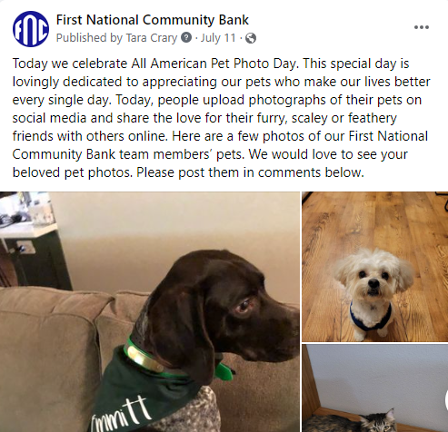 DogDayPost